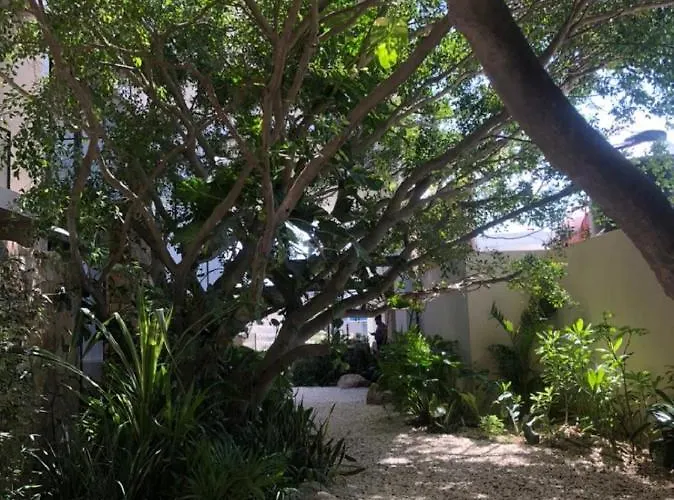 Magnífico Estudio Con Rooftop Cerca De 5ta Avenida Apartamento Playa del Carmen